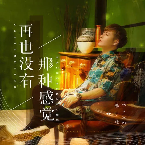 再也沒(méi)有那種感覺(jué)-楊小壯