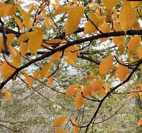 Waiting for Love(Original Mix)-Romy Wave