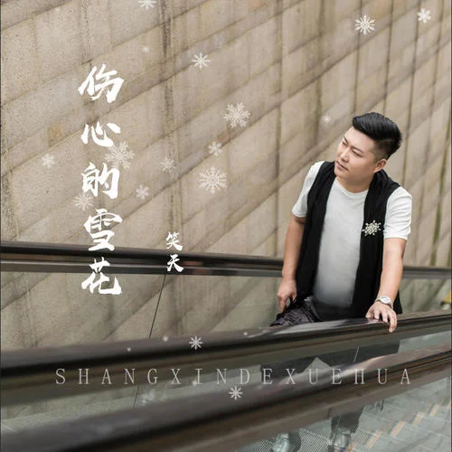 伤心的雪花(DJ何鹏版)-笑天