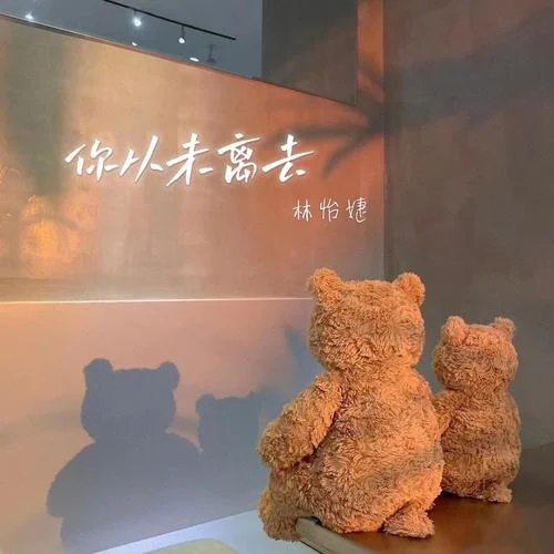 你從未離去(女版)-林怡婕