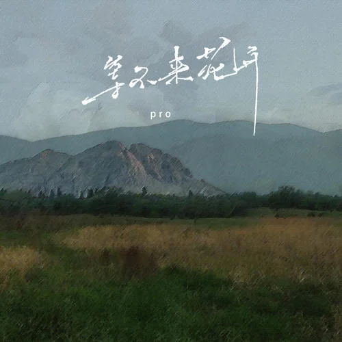 等不來花開(DJ版)-pro