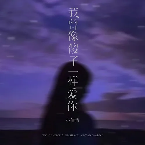 我曾像傻子一樣愛你-小倩倩
