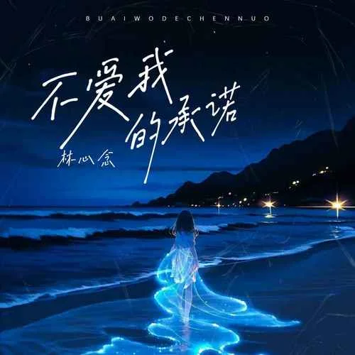 不愛我的承諾-林心念