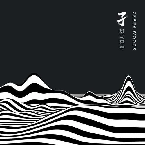 如果有一把吉他-斑馬森林