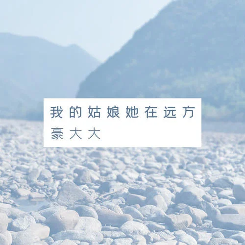 停擺(DJ版)-豪大大