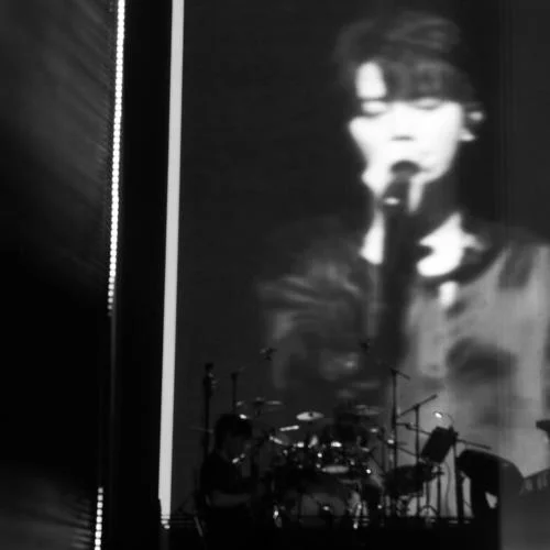 哪里都是你?2024-隊(duì)長(zhǎng)