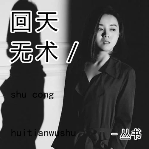 回天無術(shù)-叢書