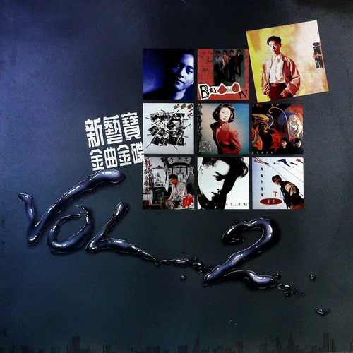 留给最爱的说话 (黑胶版)-张丽瑾&郑丹瑞