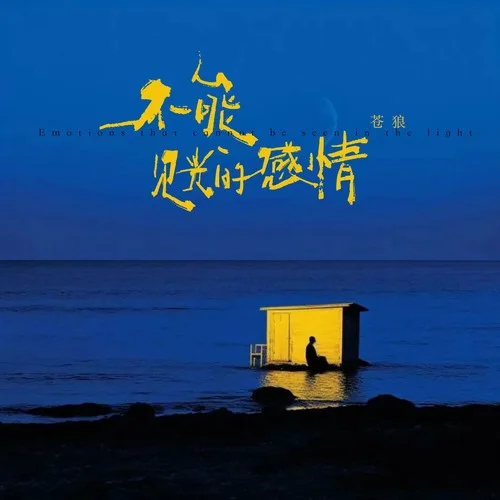 不能見光的感情-蒼狼