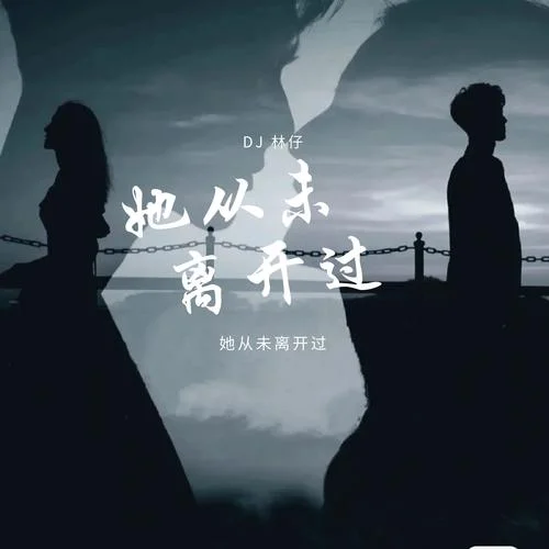 人間好苦下輩子不來了-Dj林仔