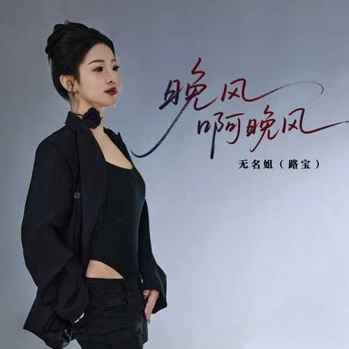 晚風(fēng)啊晚風(fēng)-無(wú)名姐（路寶）