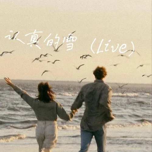 認(rèn)真的雪(Live)-李李李