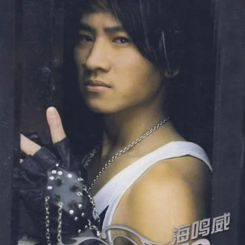 身不由己-海鳴威