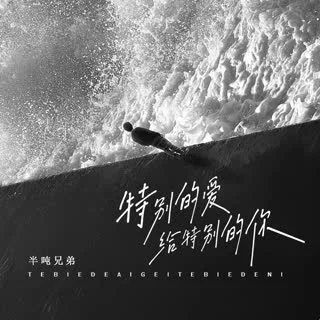 特別的愛給特別的你(煙嗓版)-半噸兄弟