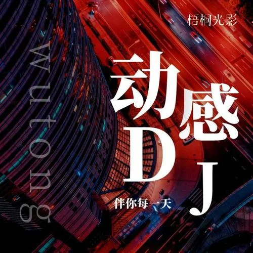 醉傾城(DJ名龍版) 小阿楓-梧桐光影