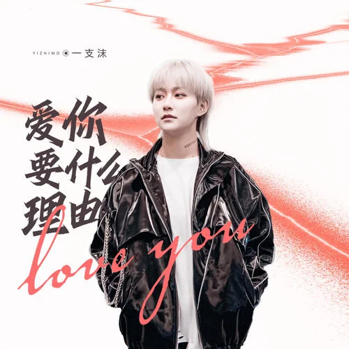 愛你要什么理由(dj光音坊版)-一支沫