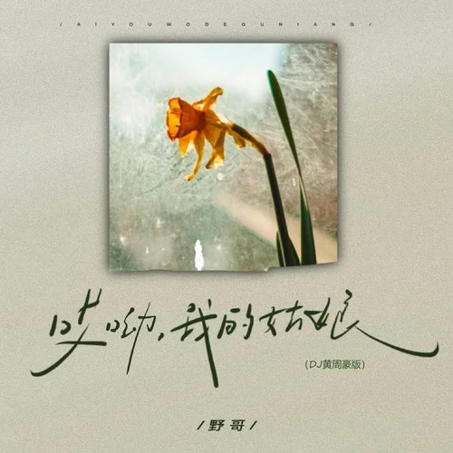 哎呦我的姑娘 (DJ黃周豪版)-野哥