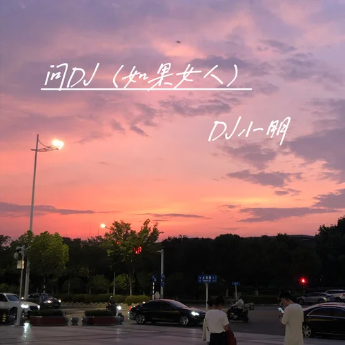 问DJ(如果女人)-DJ小朋