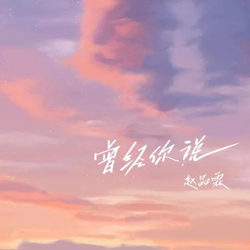 曾經(jīng)你說-趙品霖