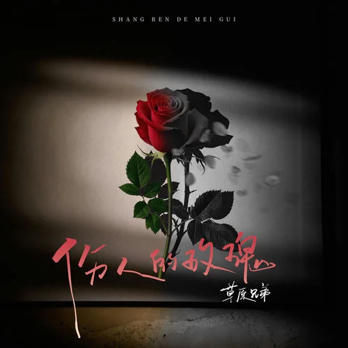 伤人的玫瑰 (DJ阿尼版)-草原兄弟