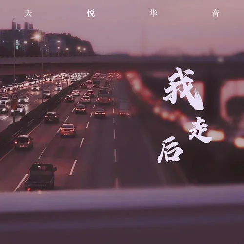 我走后(抖音熱播)-8先生