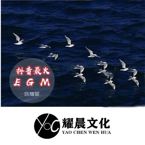 失眠酒(抖音版)-MC陳耀晨