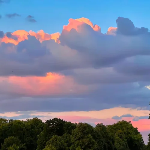 Duvet(純音版)-Sraozy