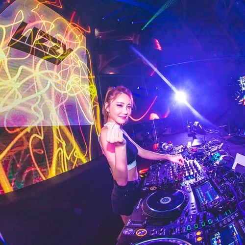 淚蛋蛋都為情哥哥流(dj改編版)-鑫鑫音樂酷站