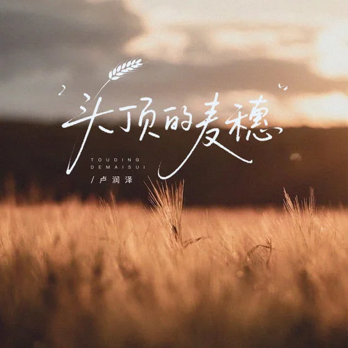 頭頂?shù)柠溗?盧潤澤