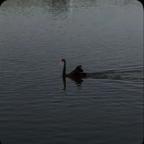 青山綠野 (阮)-777iu