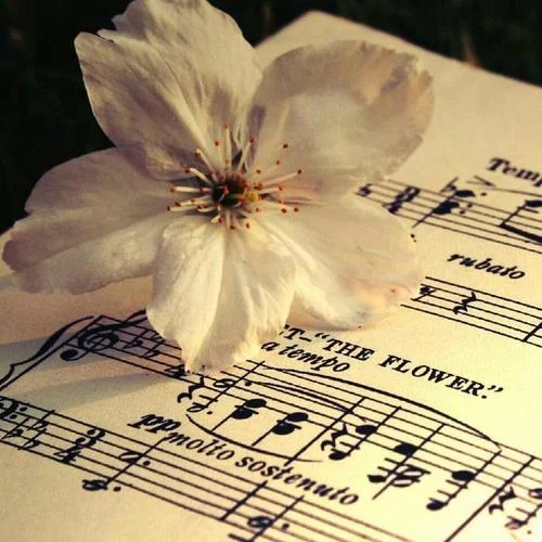 此情可待-英文歌曲