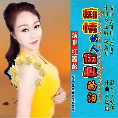 痴情的人伤心的泪-红蔷薇