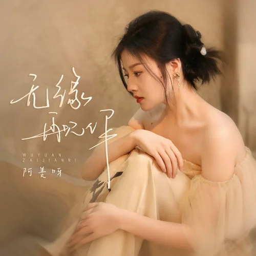 無(wú)緣再見(jiàn)你 (空靈版)-阿美呀