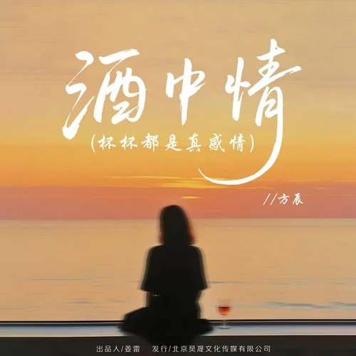 酒中情（杯杯都是真感情） (伴奏)-金鈺雙雙