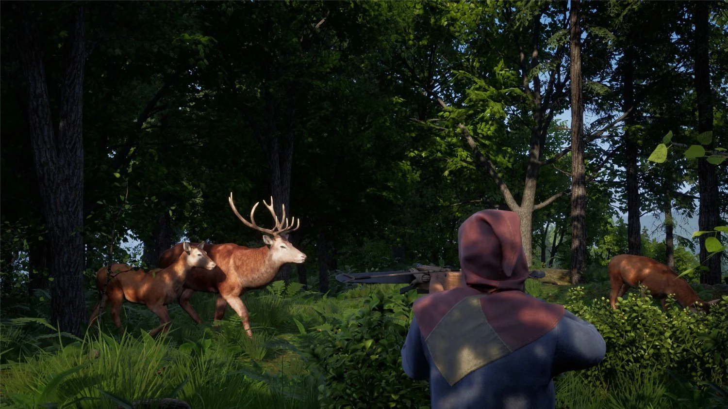 《中世纪王朝》v2.4.0.5中文版