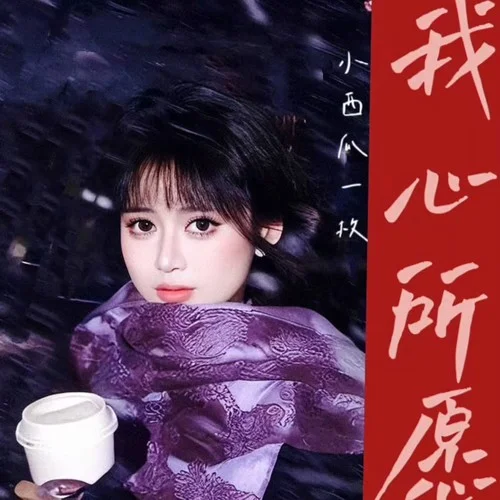 我心所愿(女版)DJ京仔版-小西瓜一枚