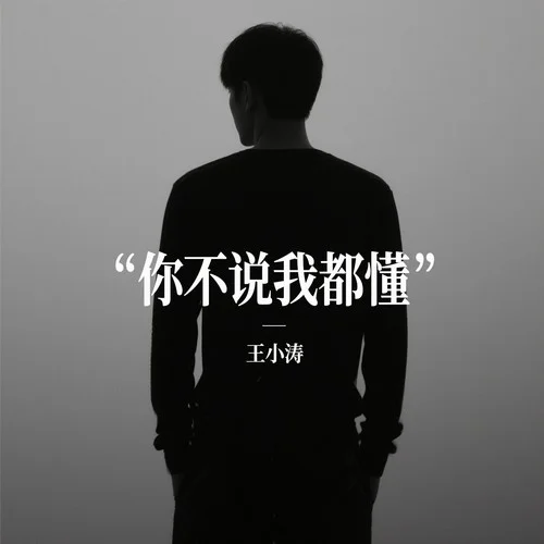 你不說我都懂-王小濤
