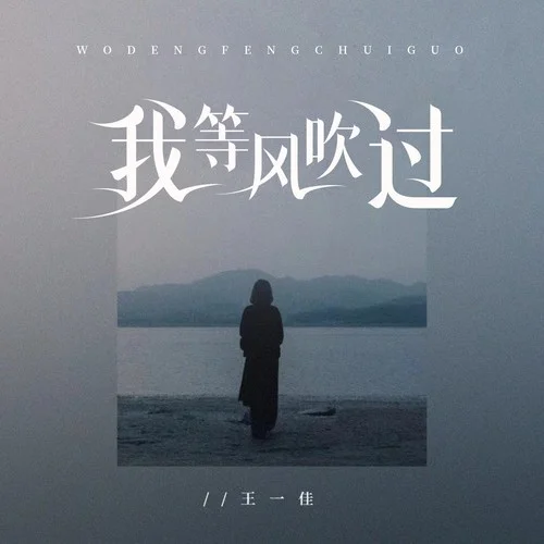 我等风吹过-王一佳