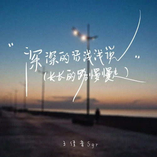 深深的話淺淺說(DJ沈念版)-王佳音