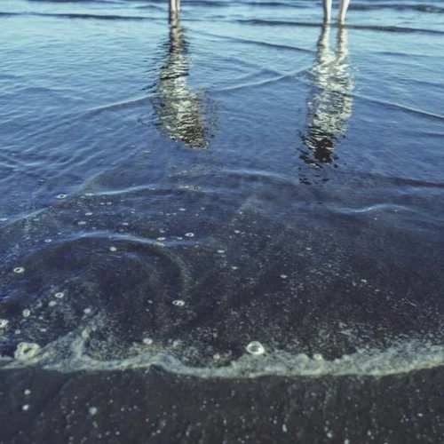 没出息 (女生版)-李羽彤