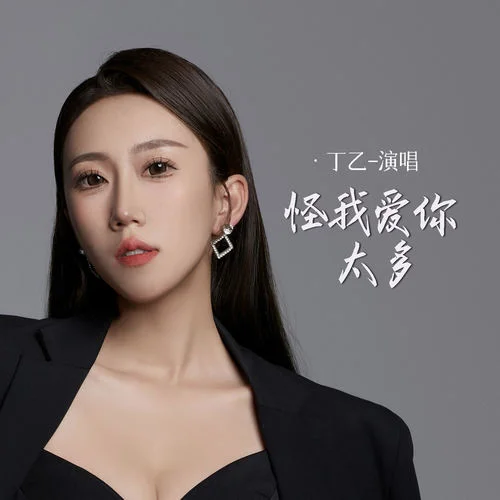 怪我愛(ài)你太多 (DJ京仔版)-丁乙