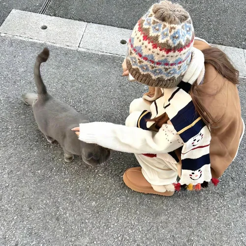 離開的北方-天天不吃飯
