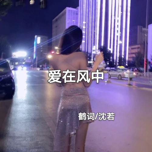 刻字簪-沈若&鶴詞.