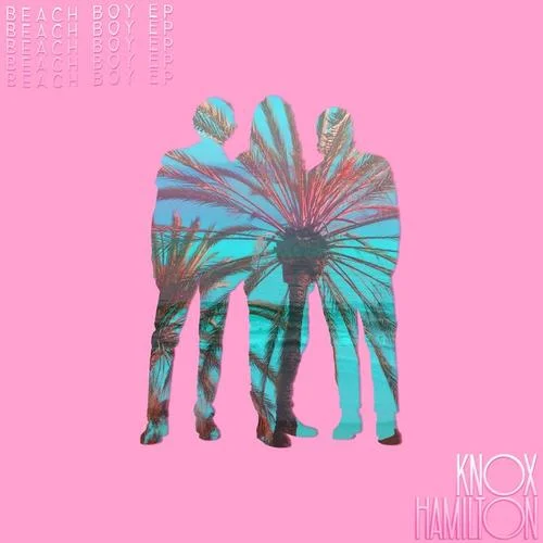 Mission Control-Knox Hamilton