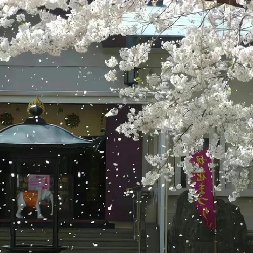 落葉成為碎紙機(jī)-萬能日記