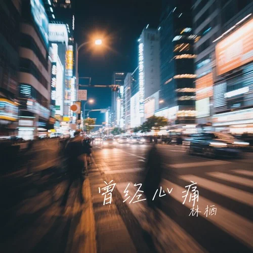 曾經(jīng)心痛 (深情版)-林棲