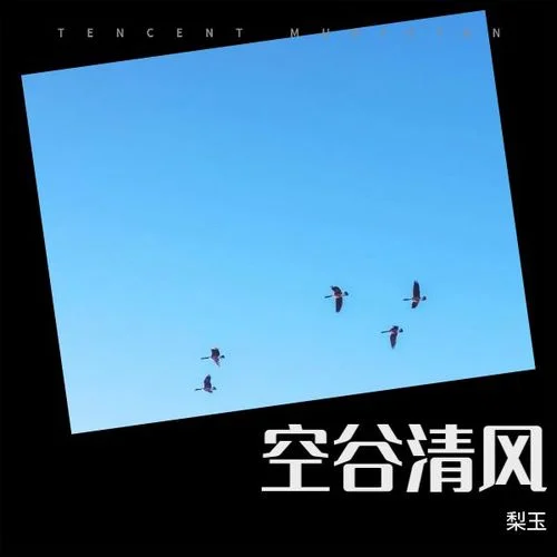 花影伴流年-梨玉