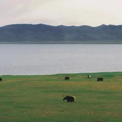 巴鐵神曲(DJ版)-小耳音樂