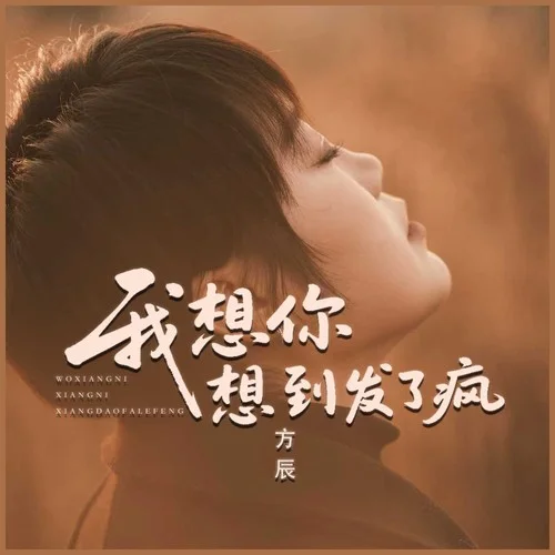我想你想到發(fā)了瘋-方辰