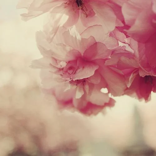 不悔-小曲兒&HITA